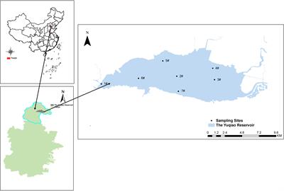 Producers and drivers of odor compounds in a large drinking-water source